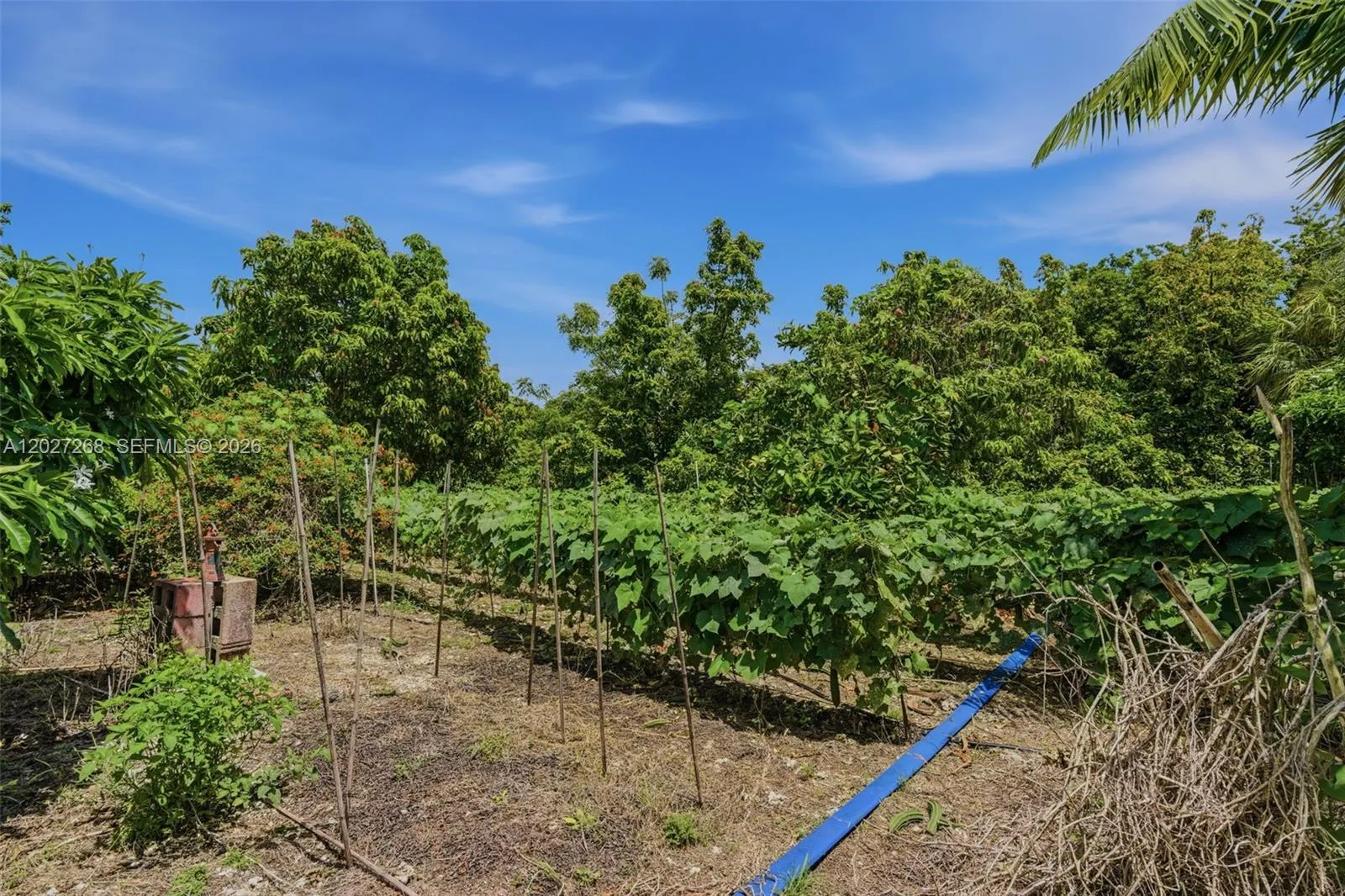 Property photo 28