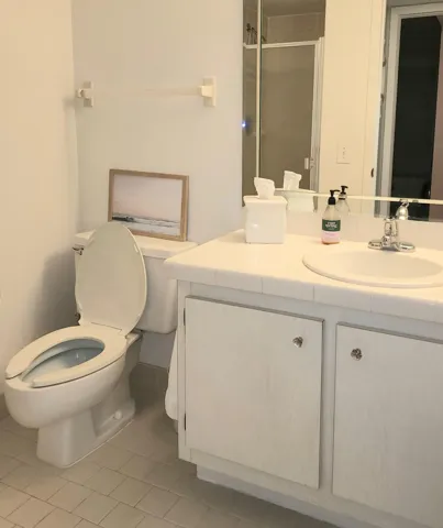 Guest bathroom