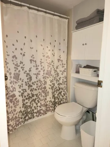 Primary bathroom toilet and shower