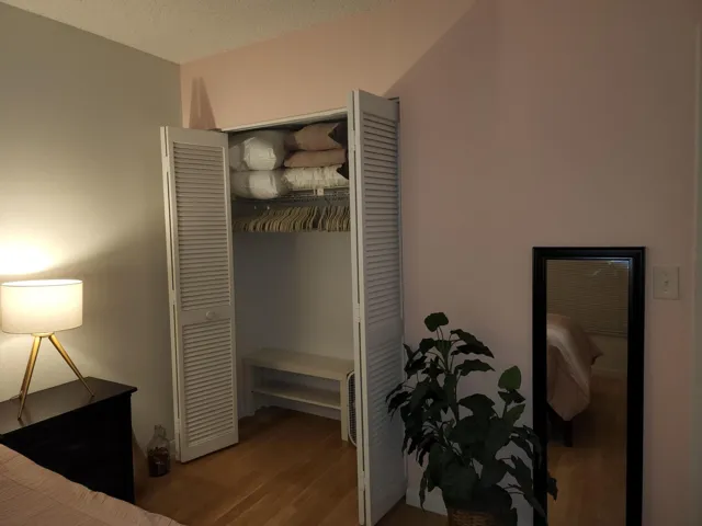 Guestroom closet