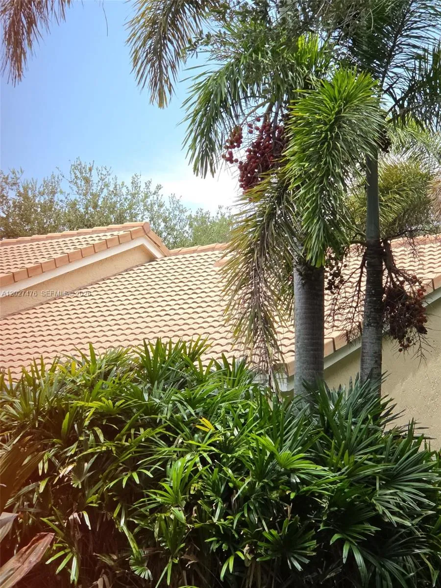 Property photo 49
