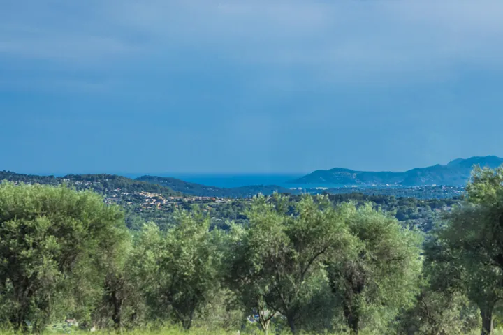 view