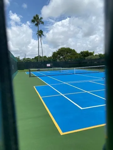 pickle ball
