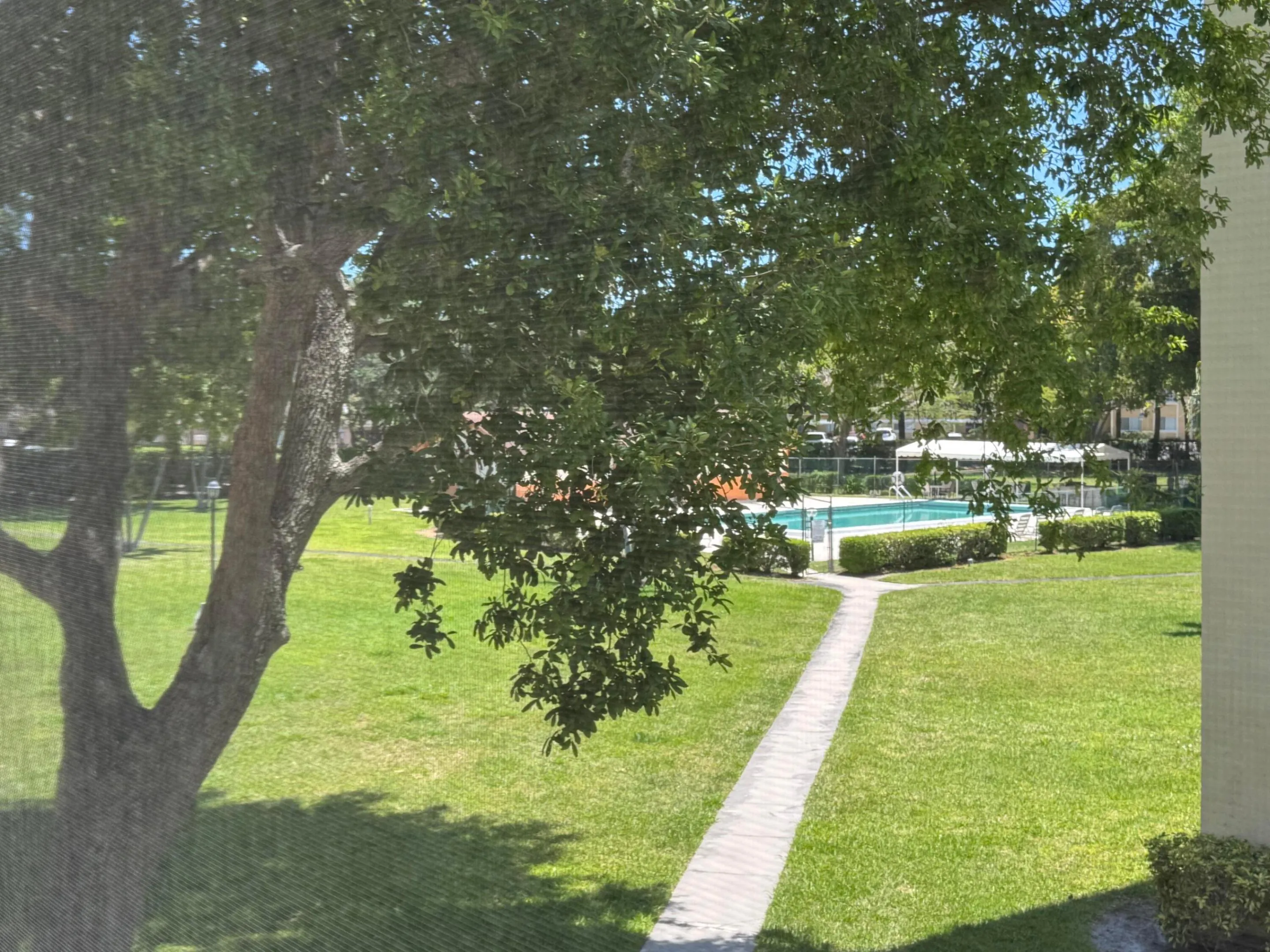 View from the Balcony