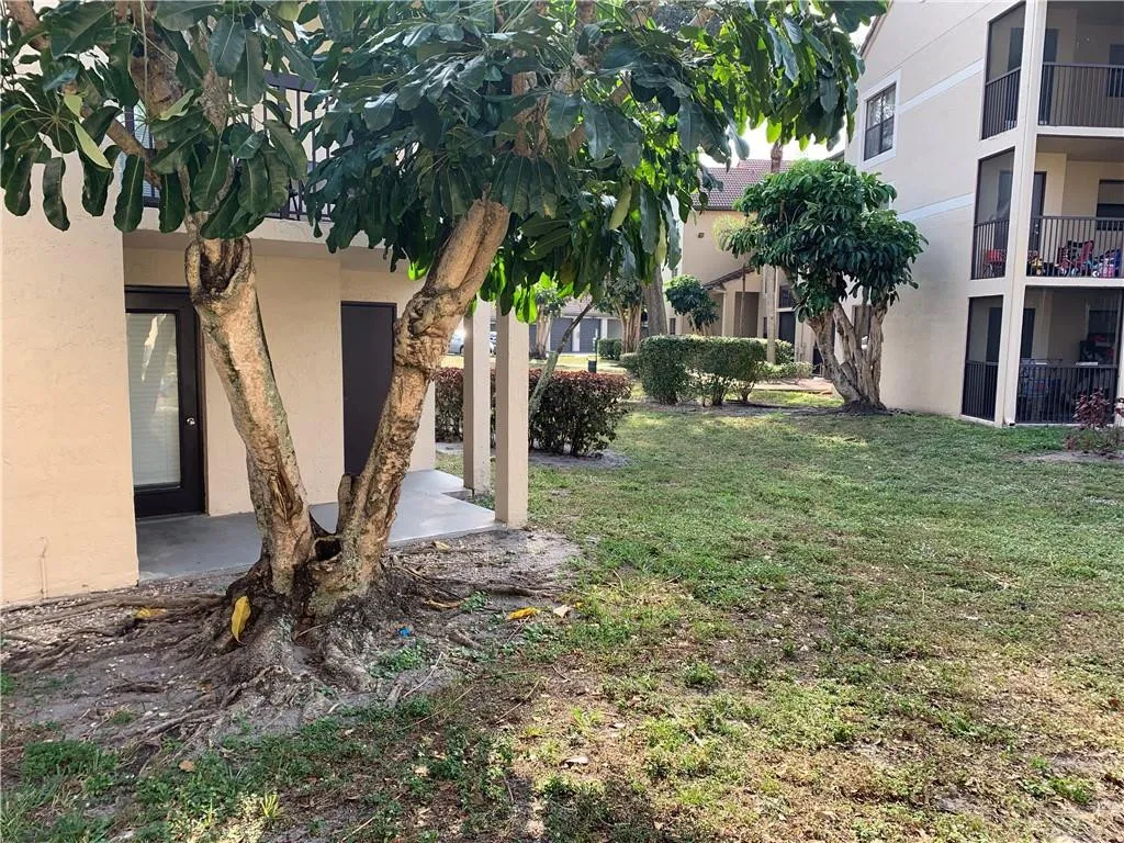 Patio 2