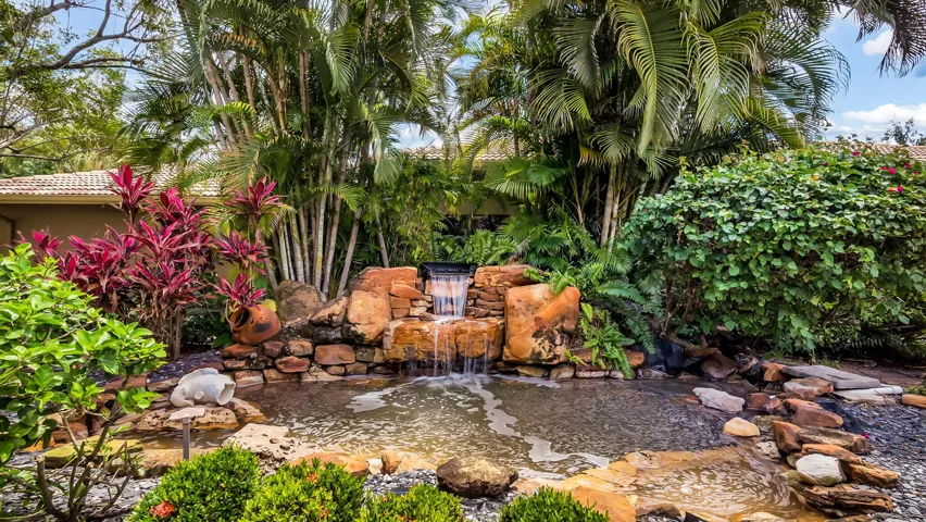 Tropical Oasis with Pond and Fountain