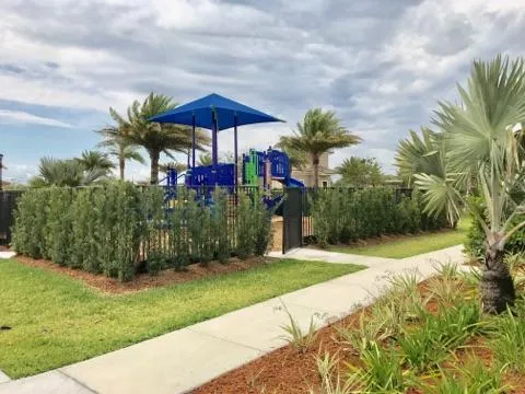 playground