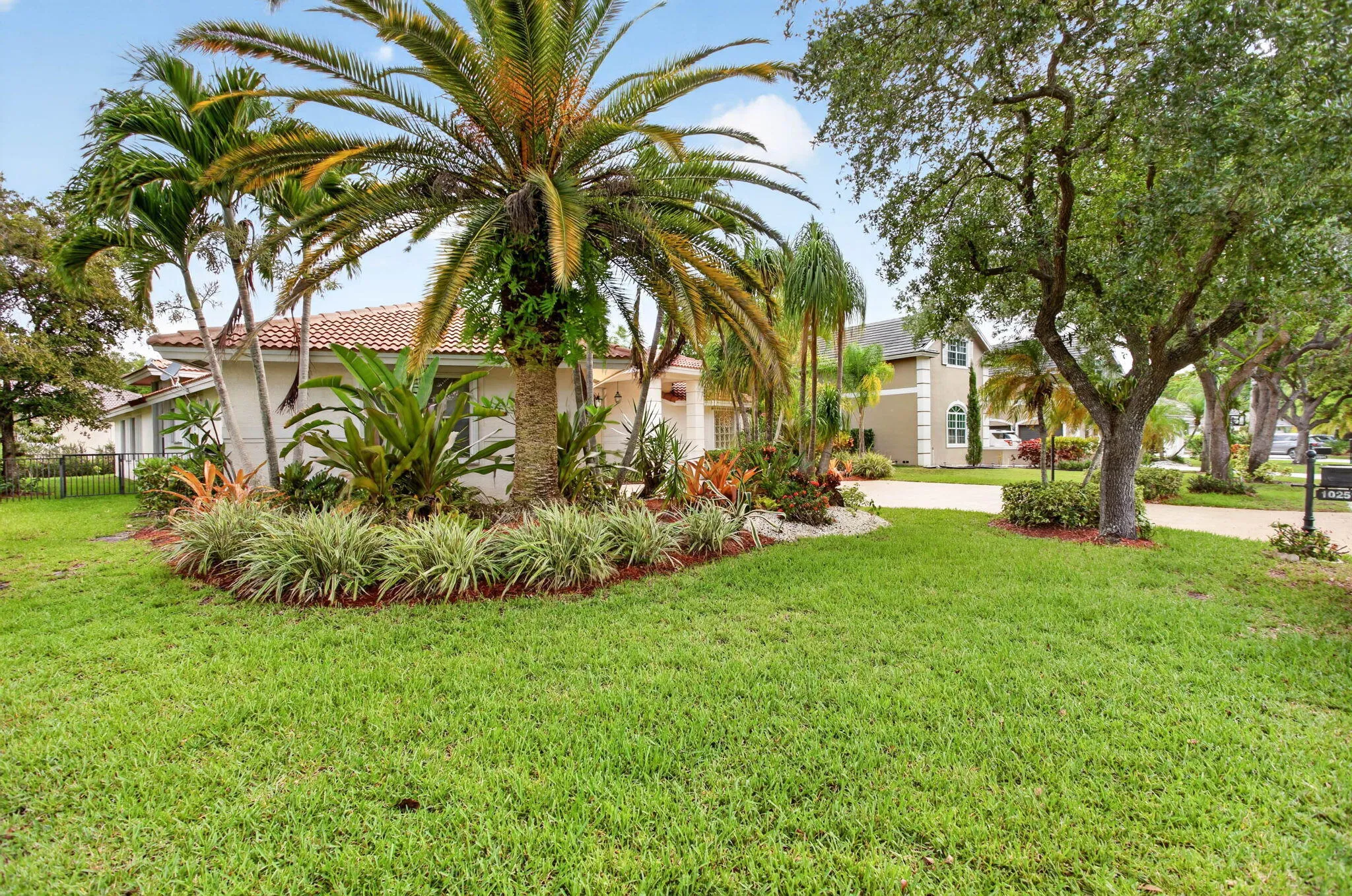 Lush front yard!