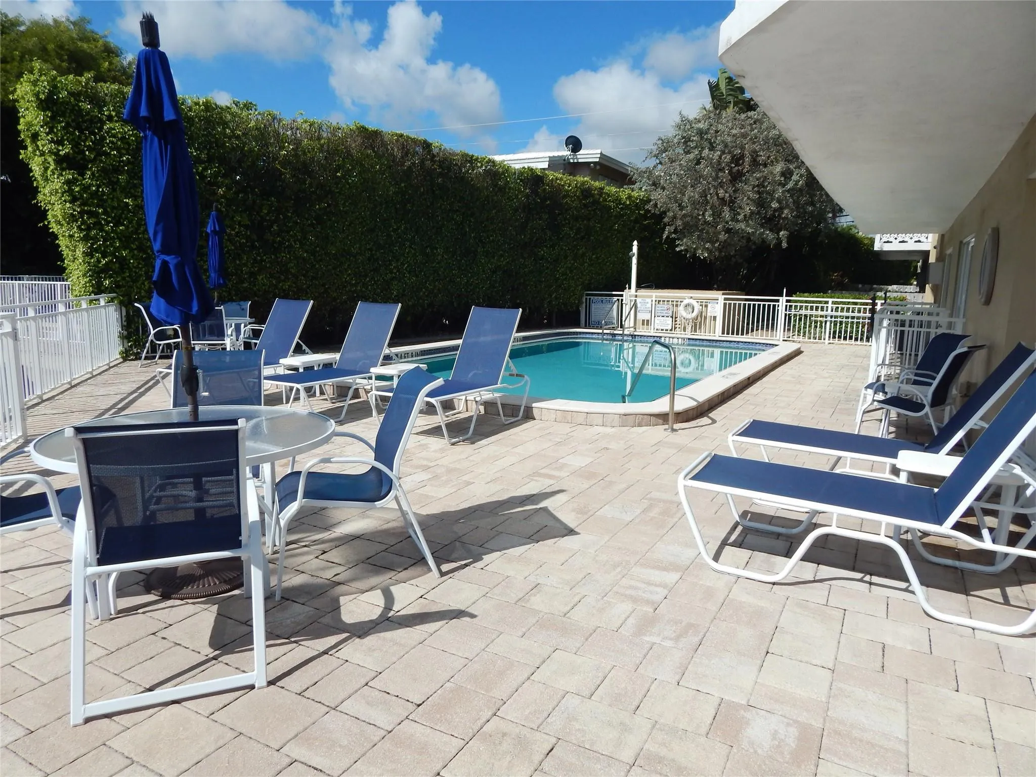 relax by the pool