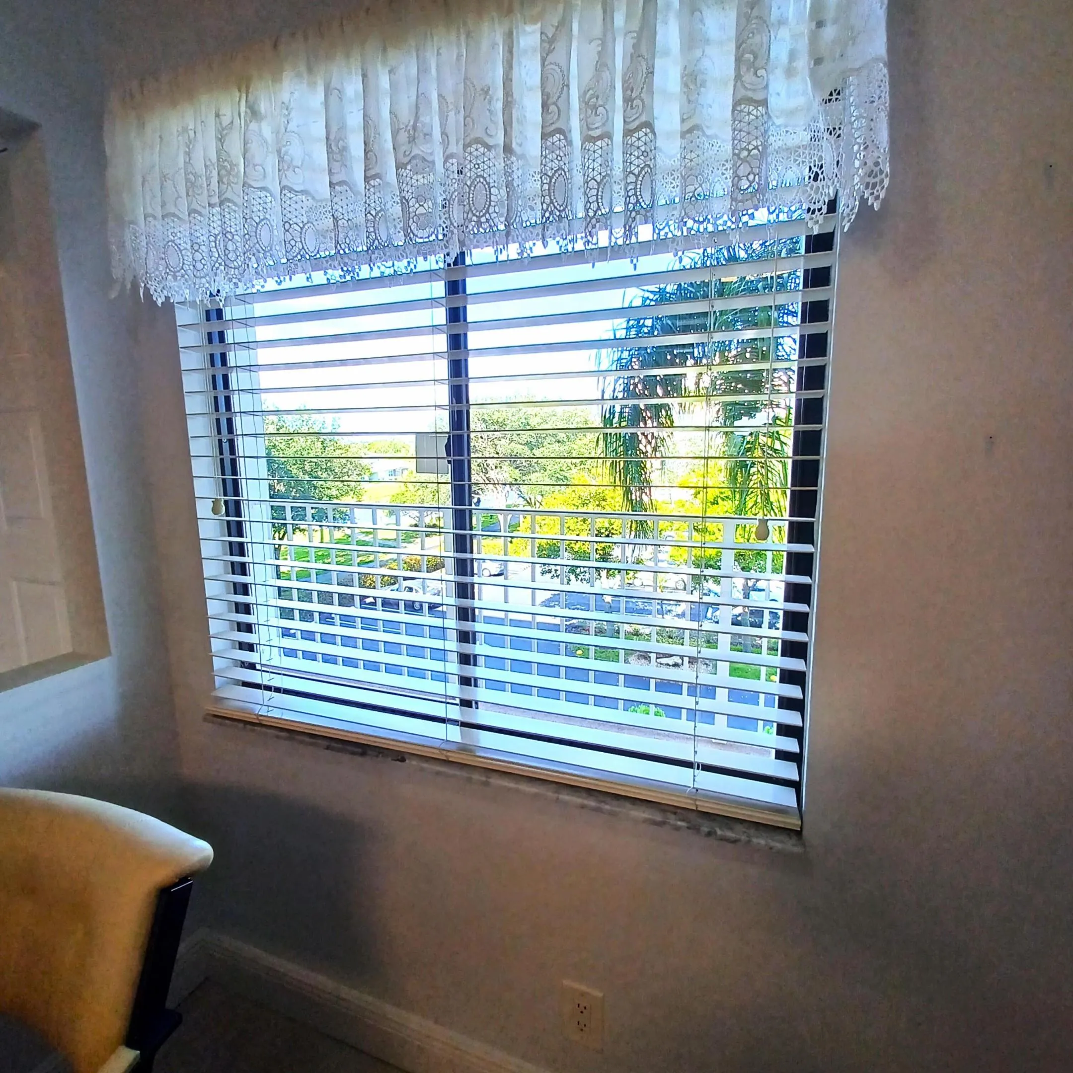View from Kitchen