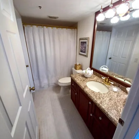 Under Mount Sink and Updated Lighting