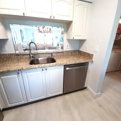 Pass thru and Undermount Sink