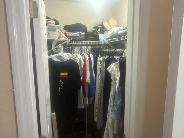 pic31
