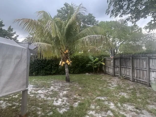 pic11