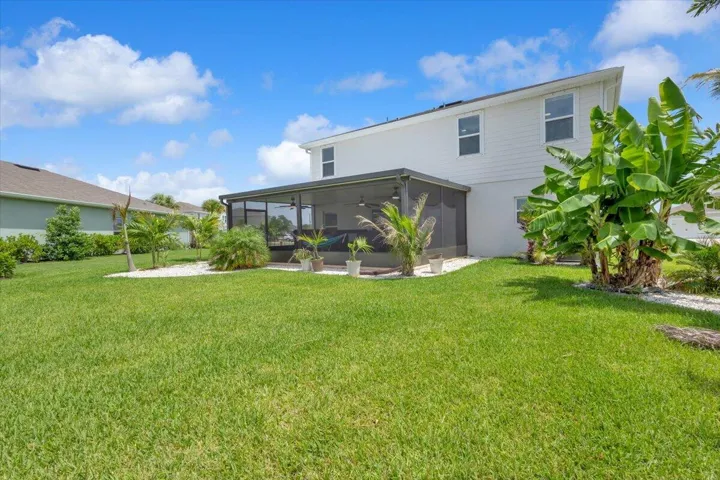 Fresh tropical landscaping