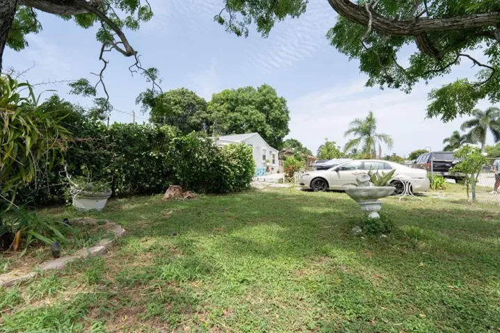 22-backyard-grass
