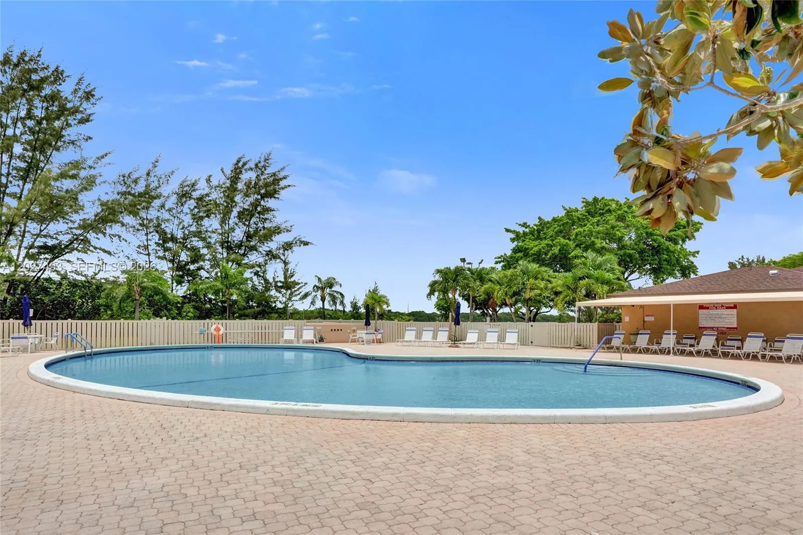 Dive Into Sparkling Blue Waters!