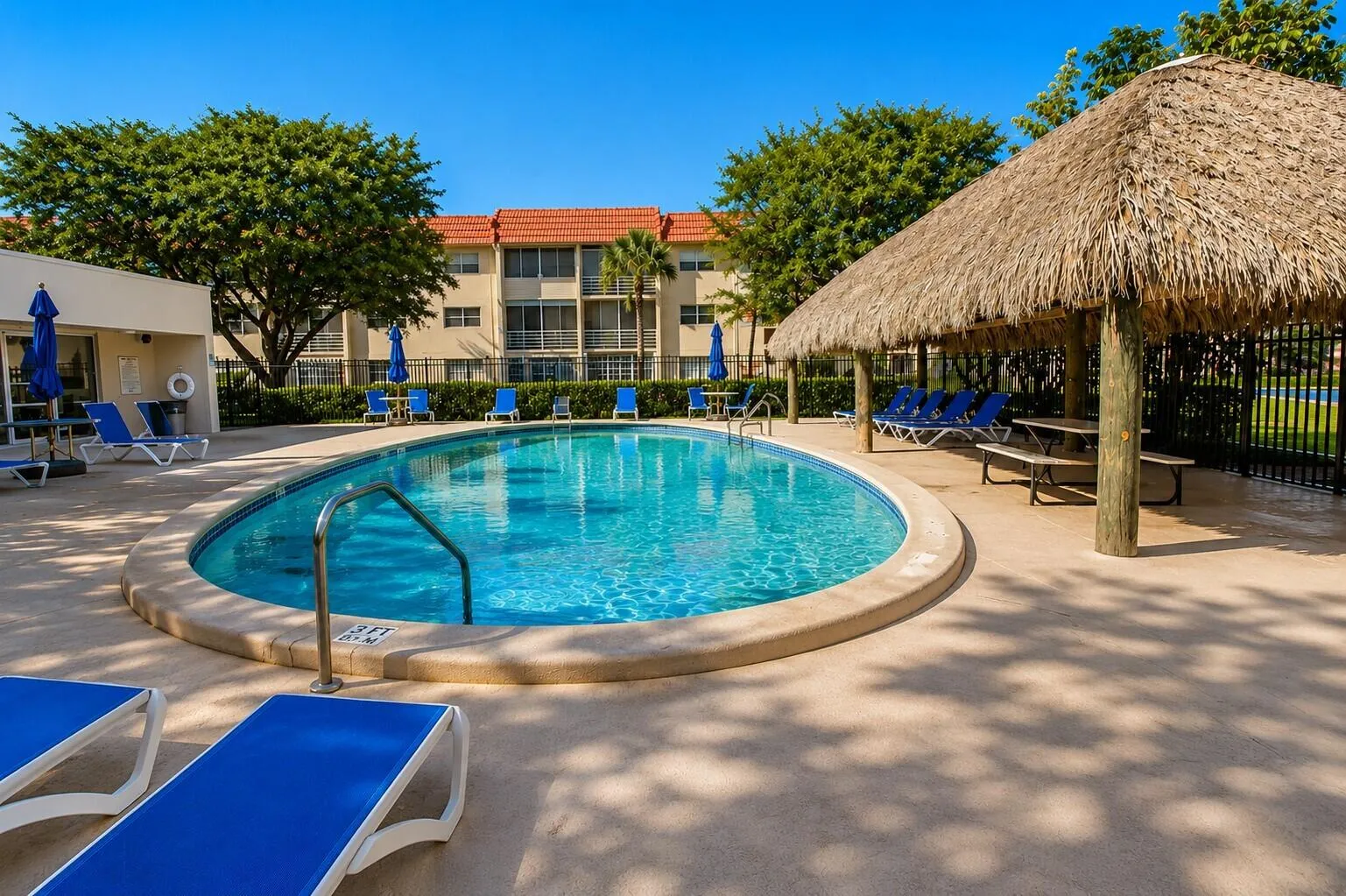 Pool & Tiki Hut