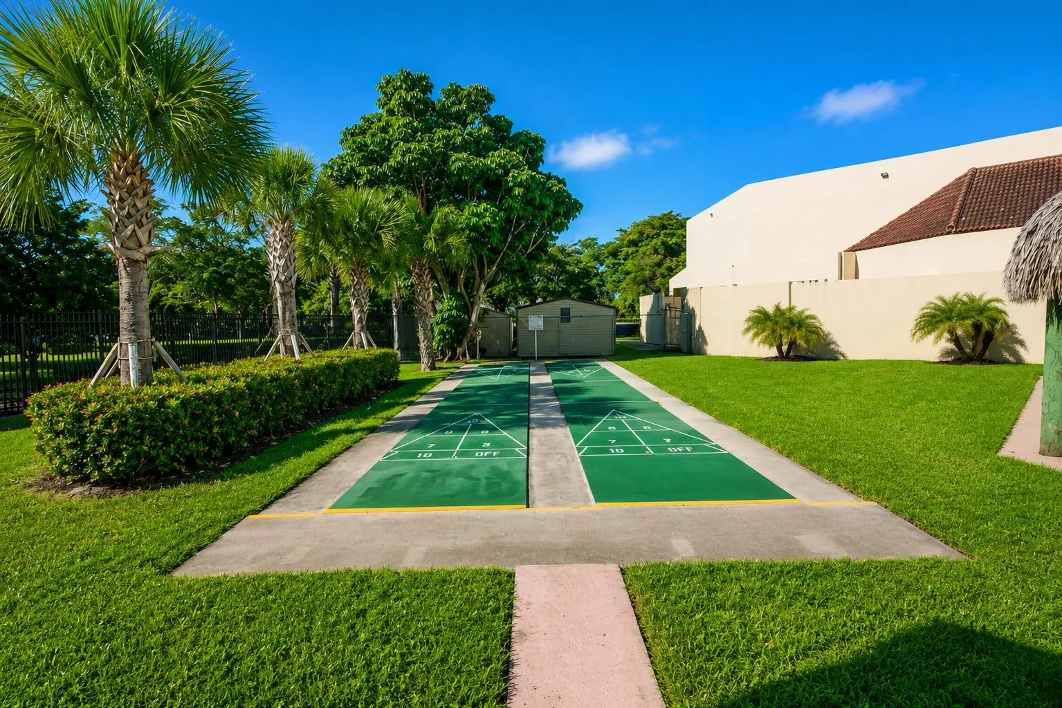 Shuffleboard Court