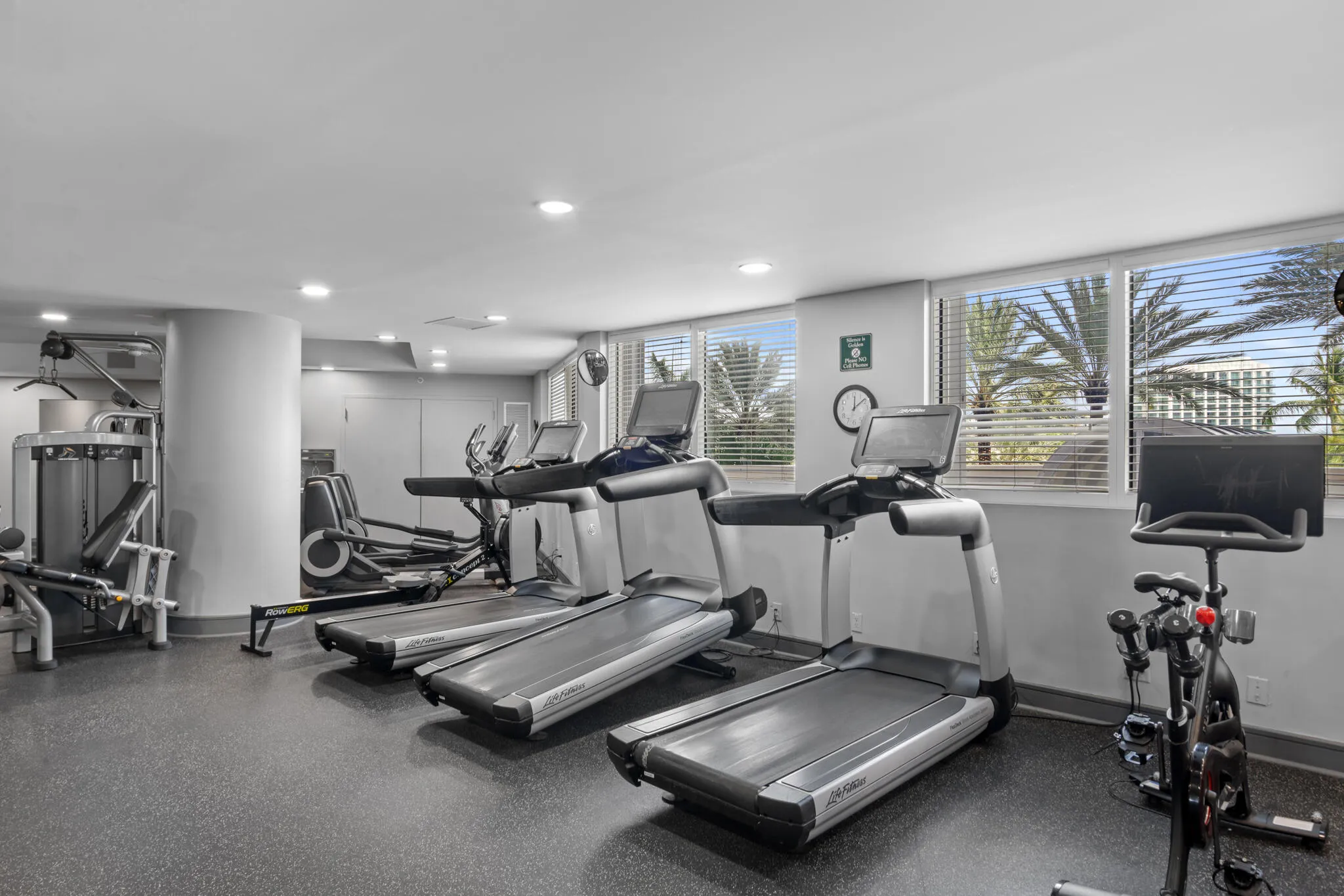 gym