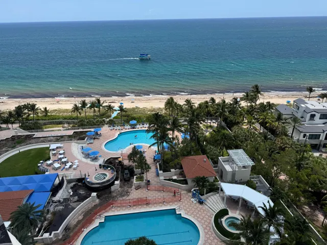 view