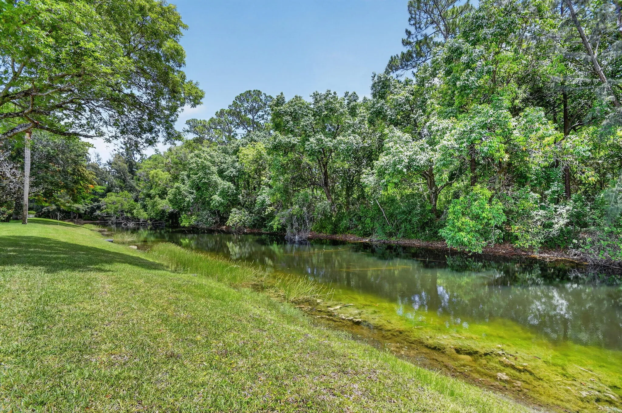 Lake Olive