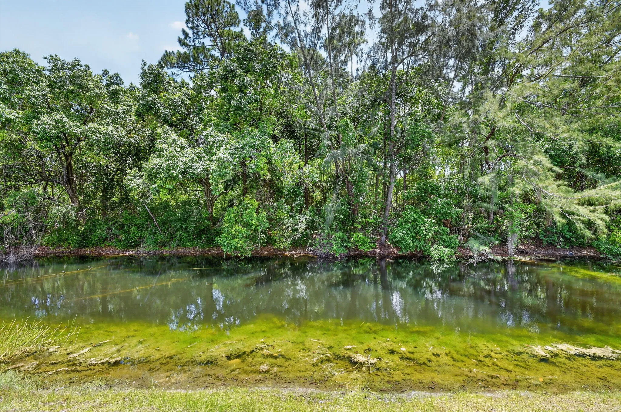 Lake O