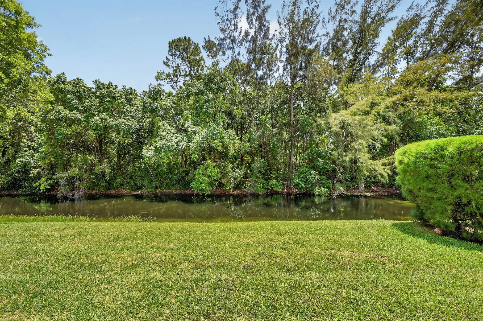 Lush Greens to Lake Olive