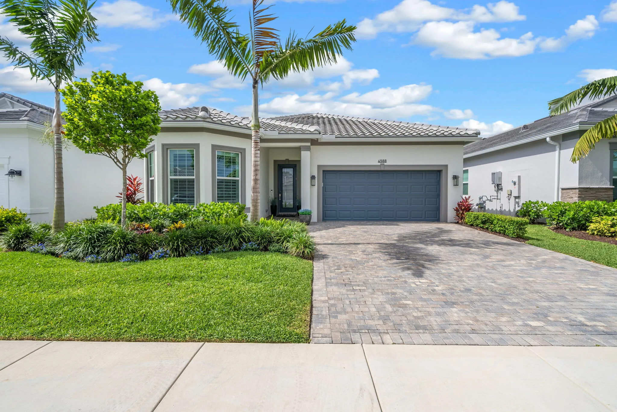 46-web-or-mls-PET05945