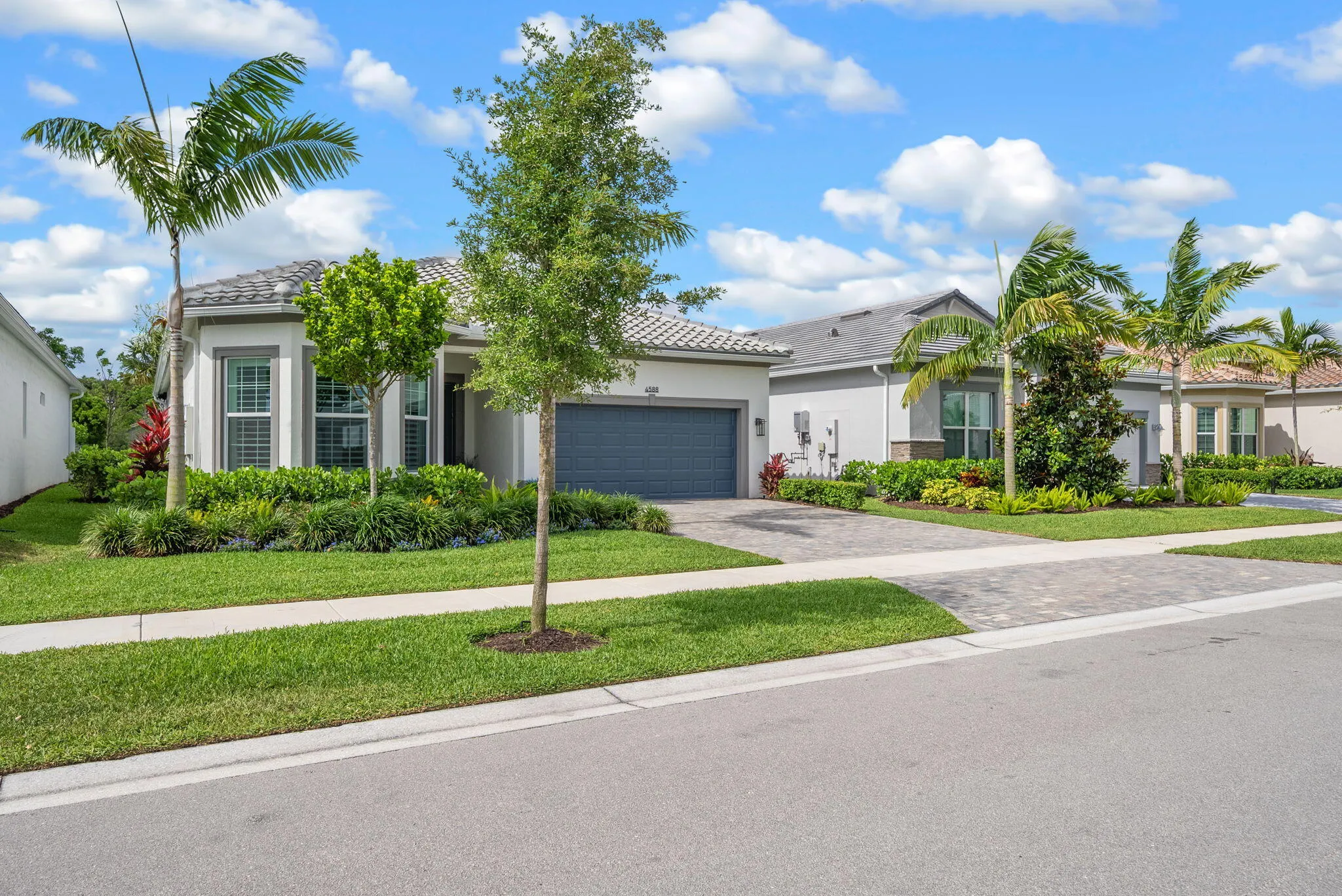 42-web-or-mls-PET05933