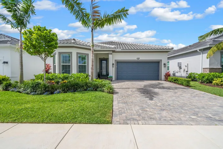 46-web-or-mls-PET05945