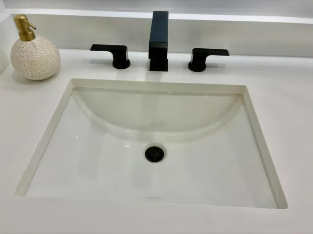 Dual Rectangular Porcelain Sinks