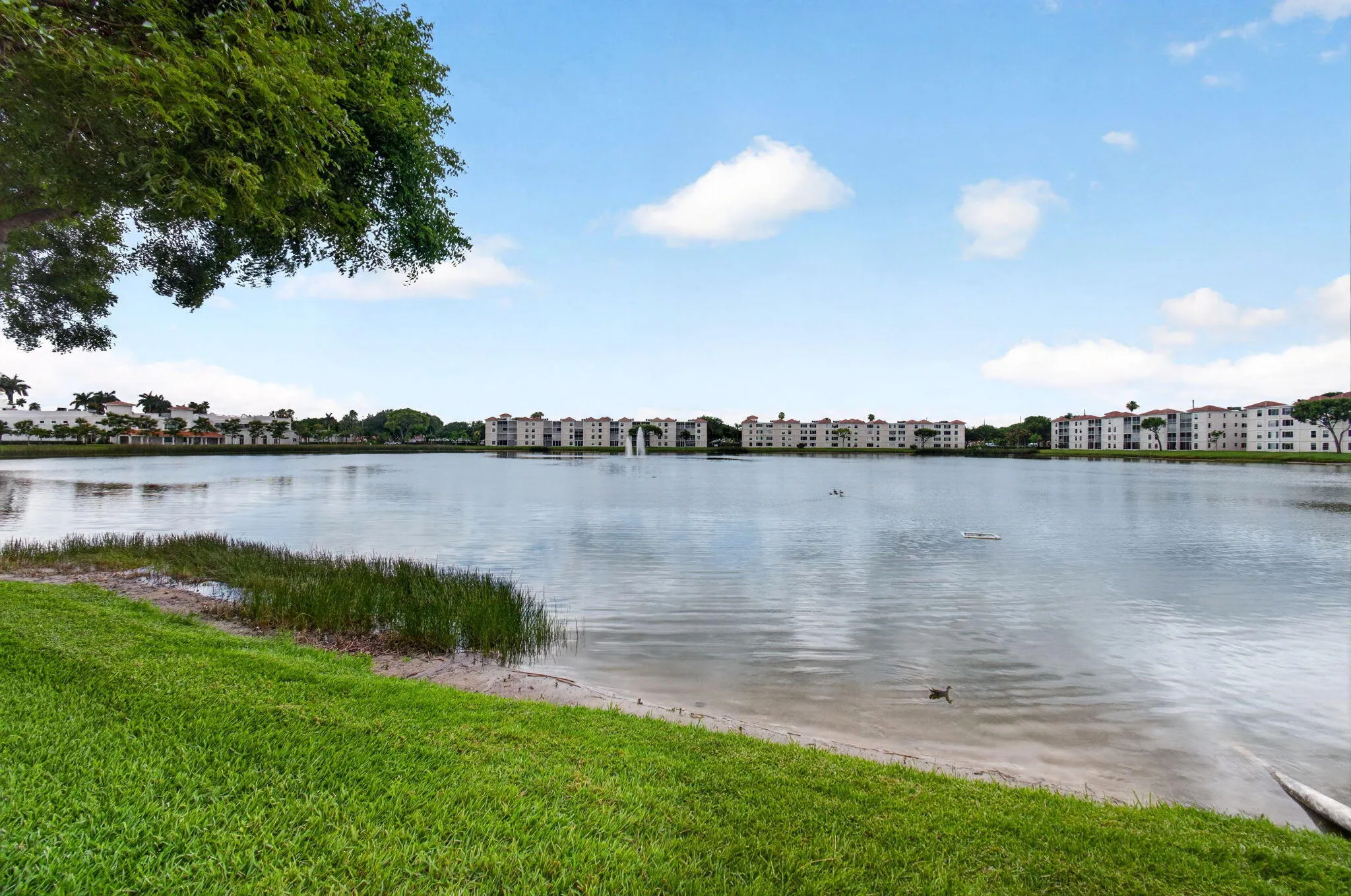 67-web-or-mls-DSC_1496