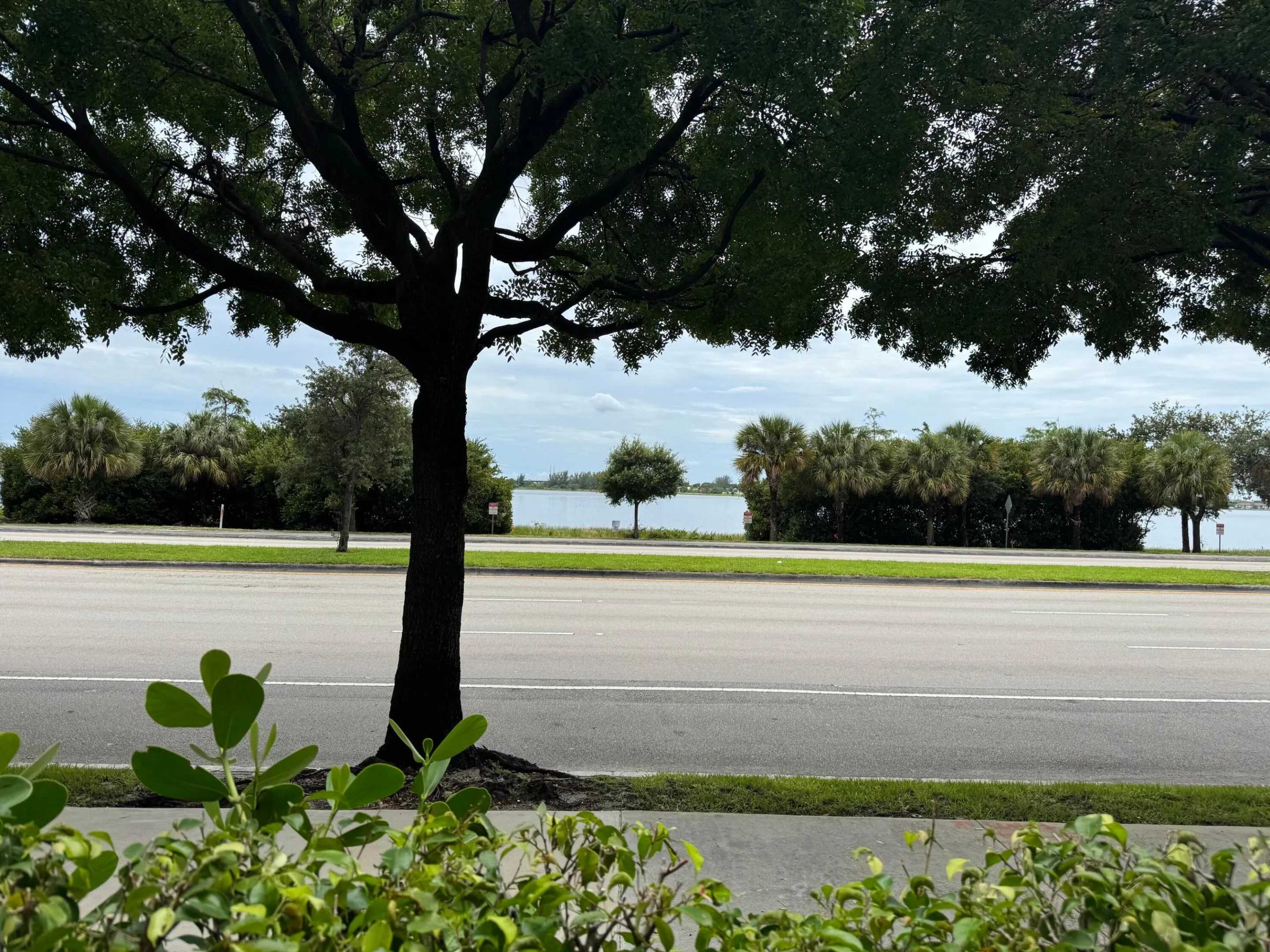 Lake View