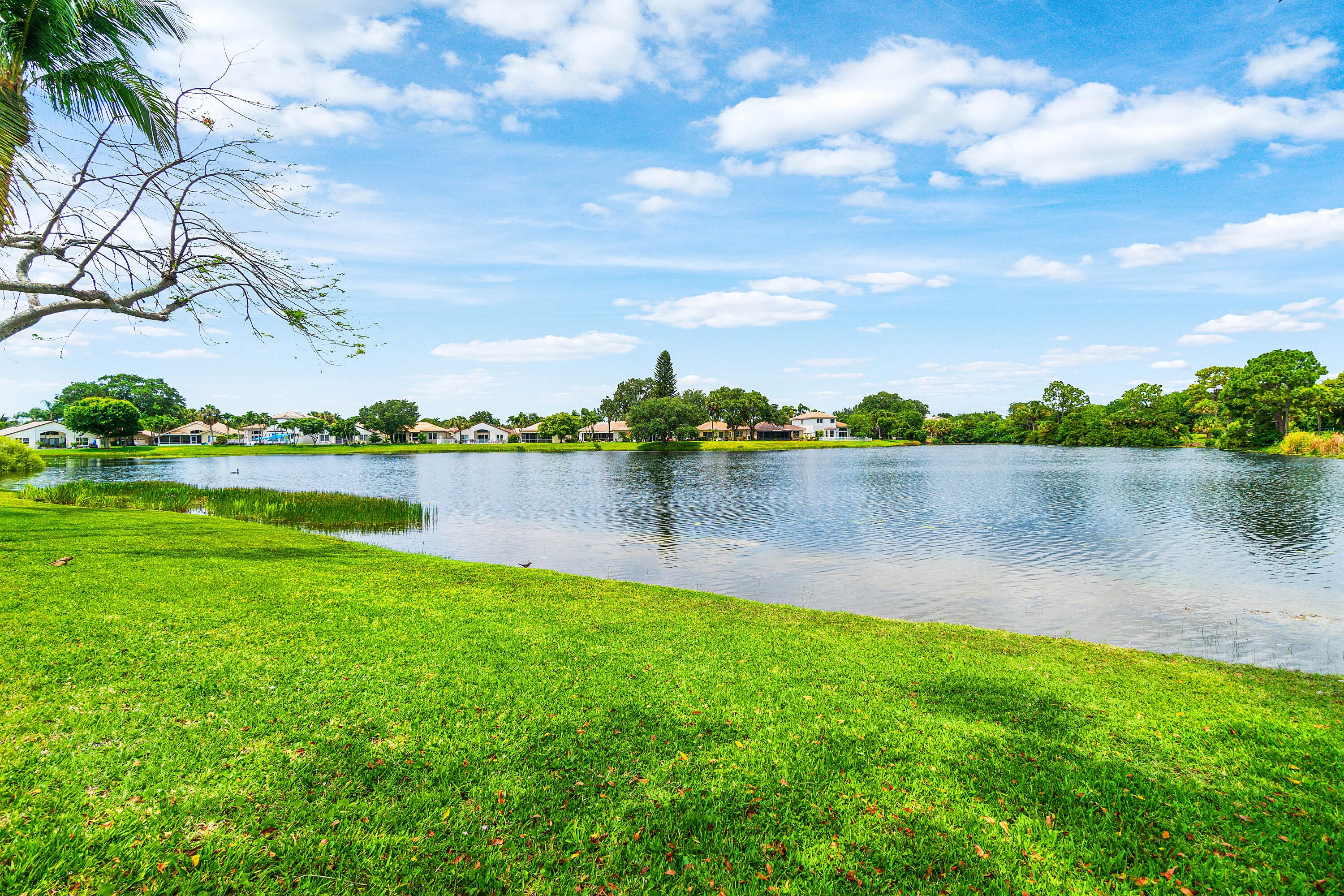 Lake Views
