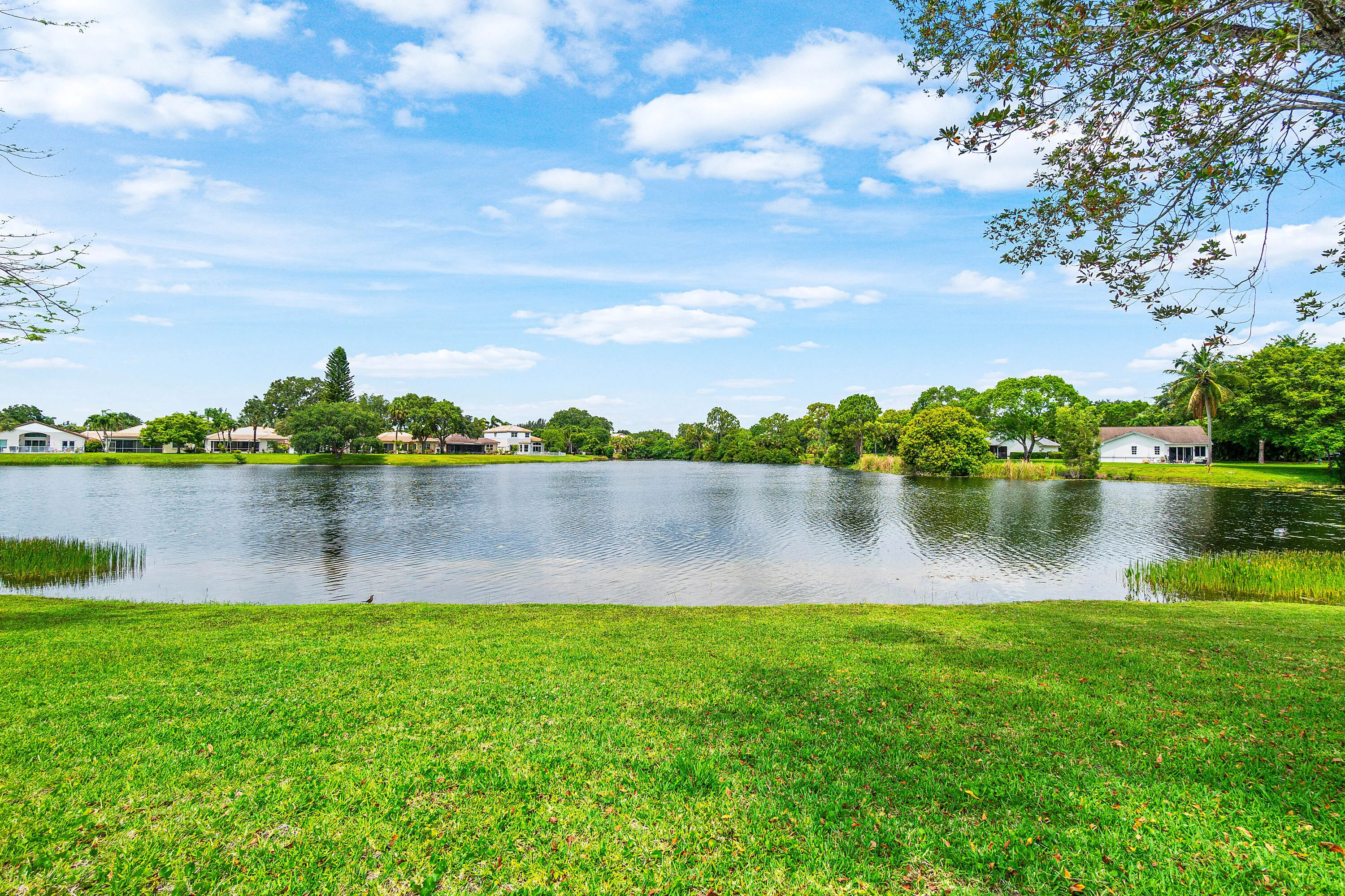 Lake Views