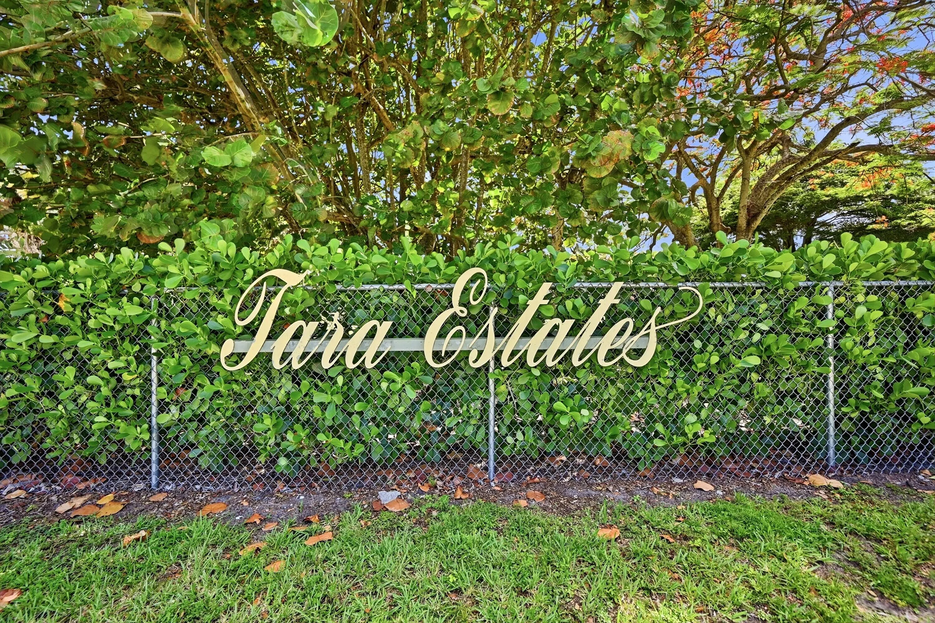 Property photo 61