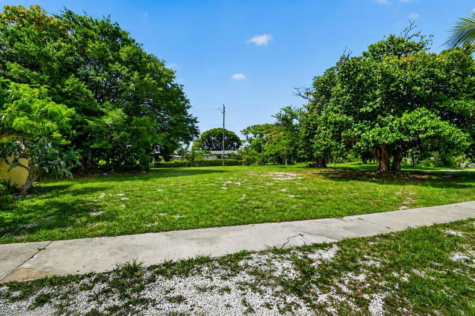 Property photo 40