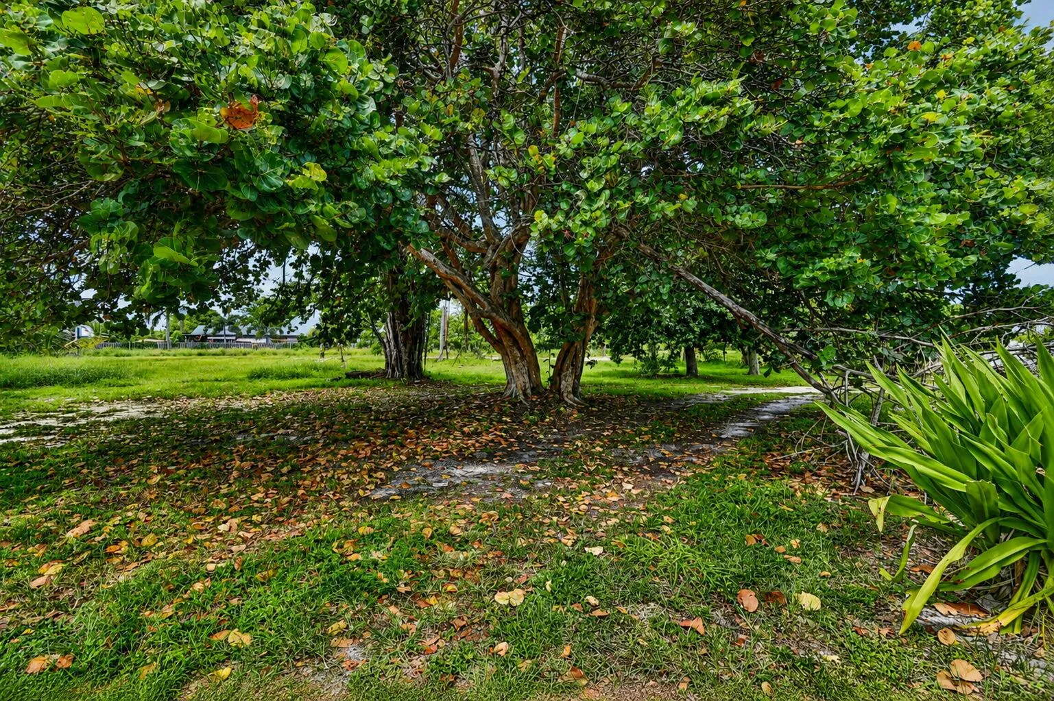 Property photo 43