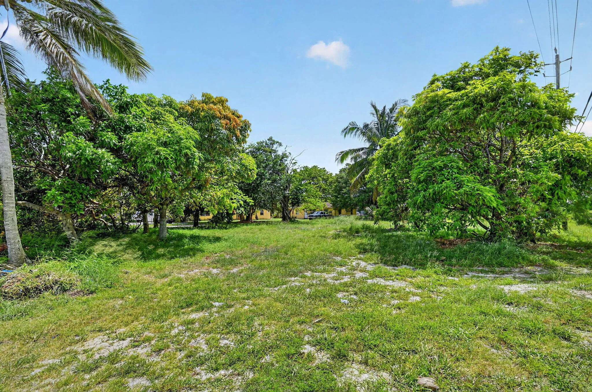 Property photo 48
