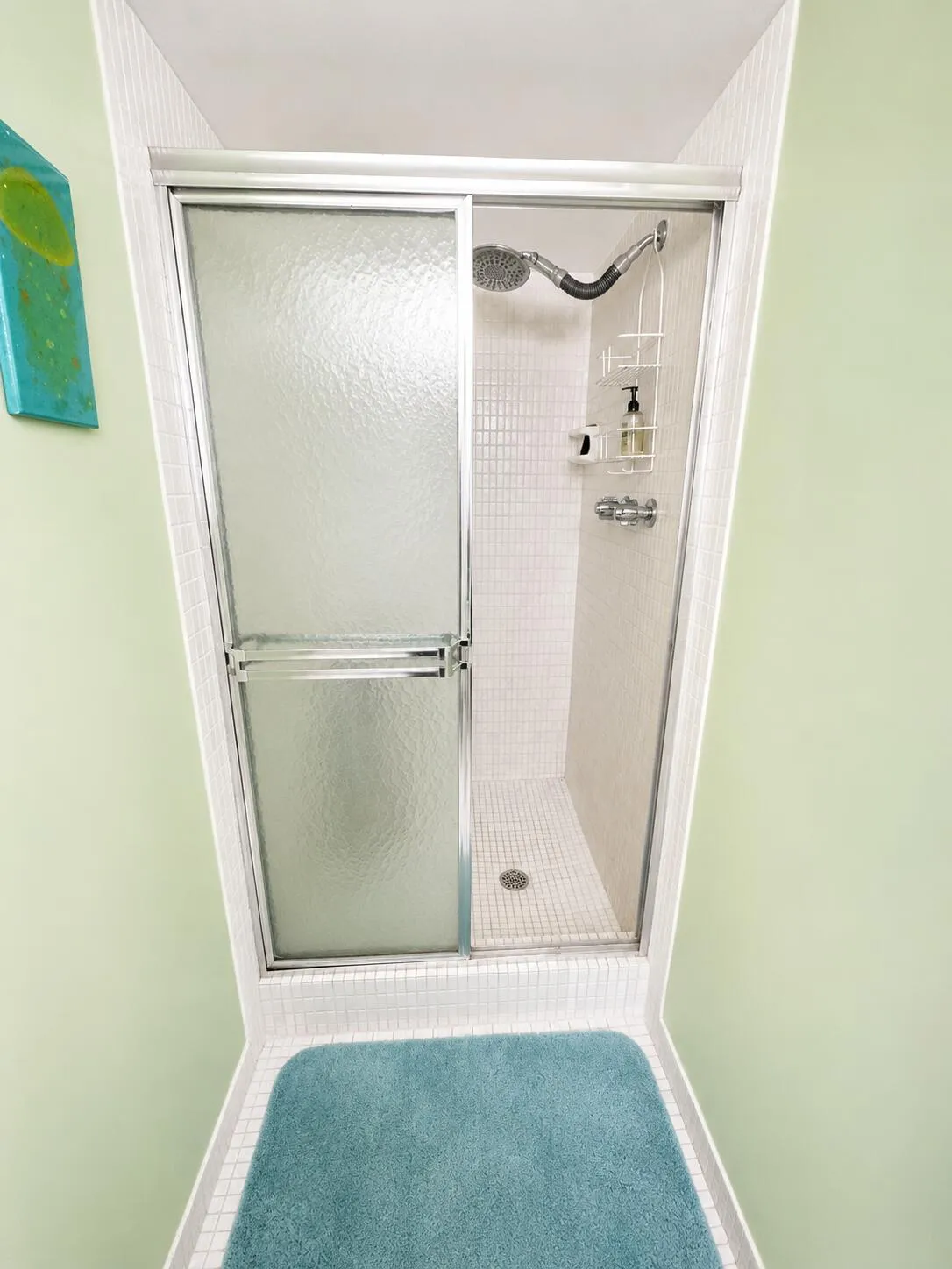 18 Colonial Club Dr 200 Guest Shower