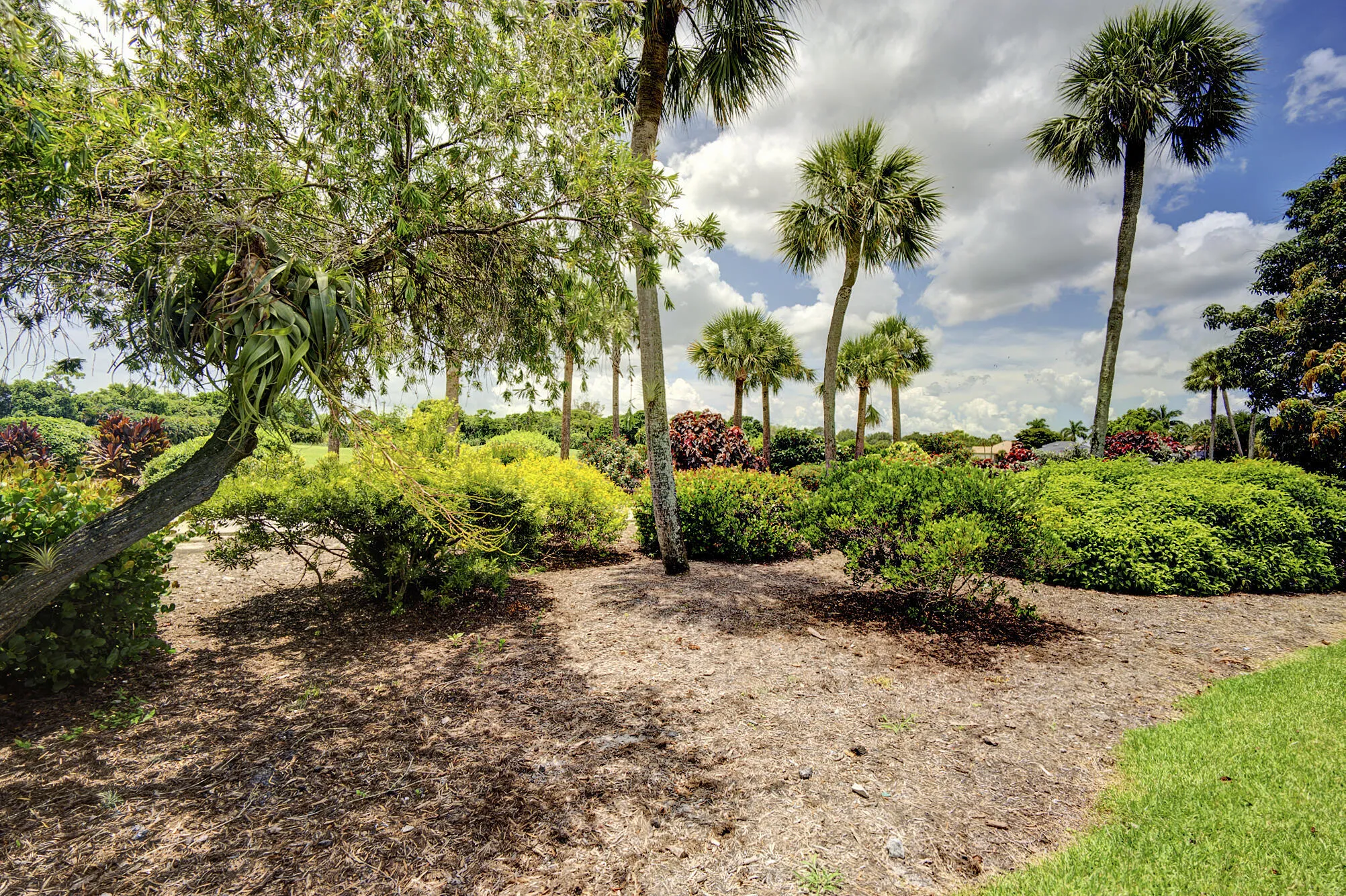Property photo 44
