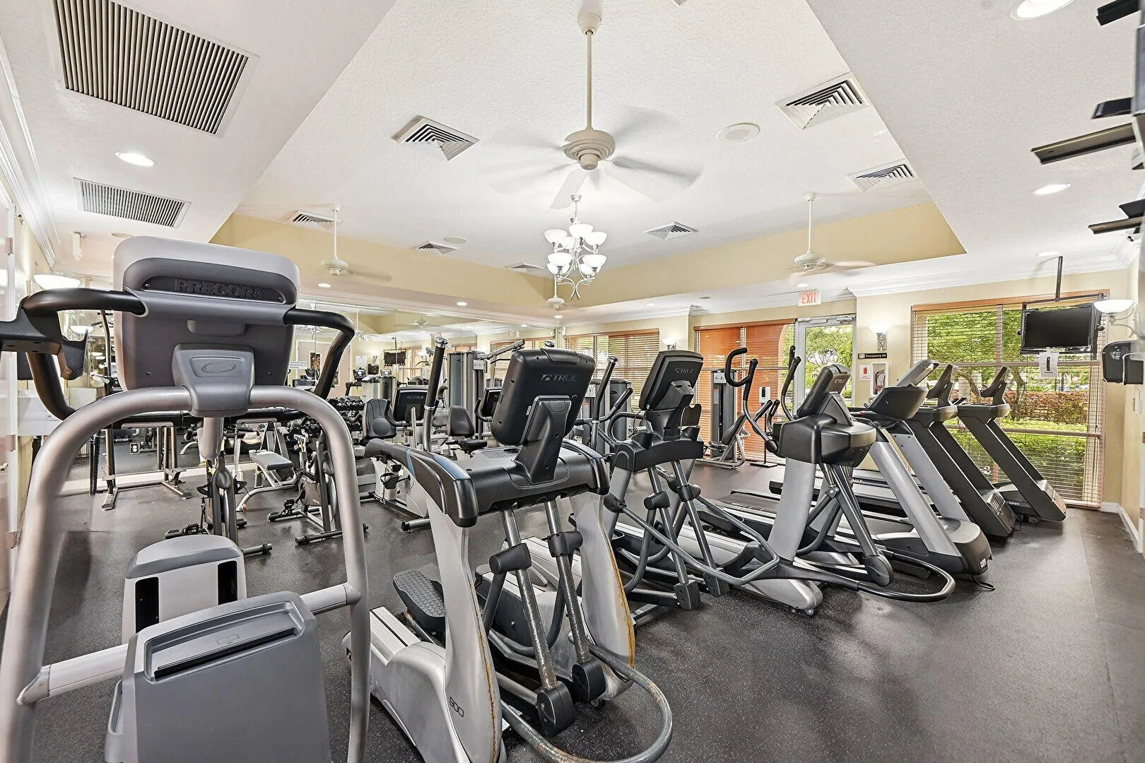 Full Size Gym