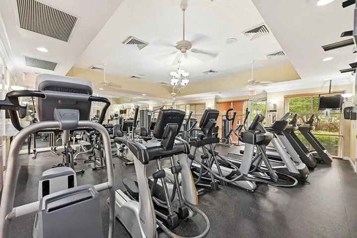 Full Size Gym