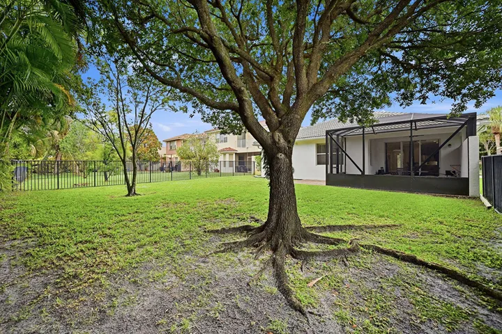 Spacious Back Yard