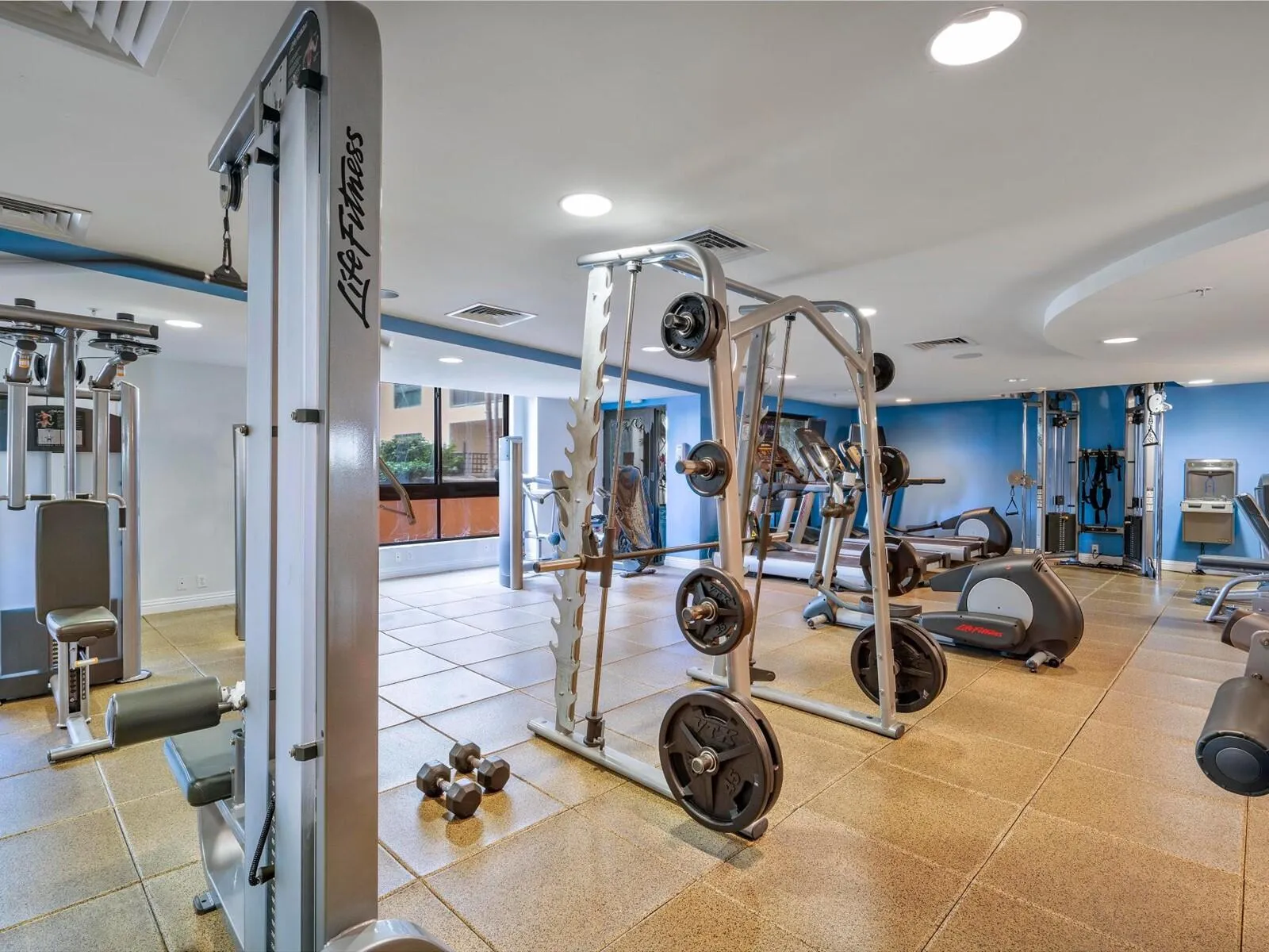 66-Gym