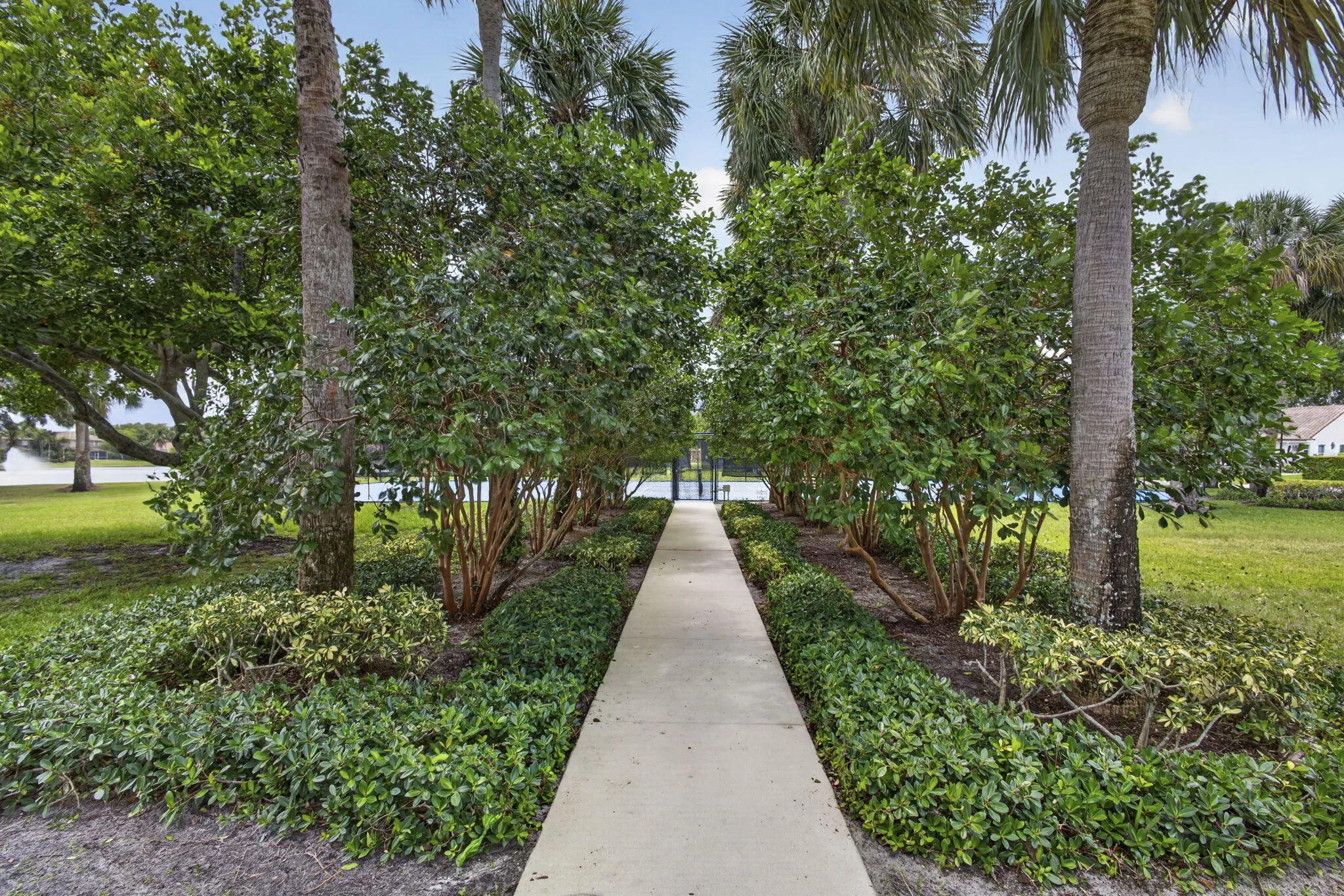 65-web-or-mls-BS1A9517