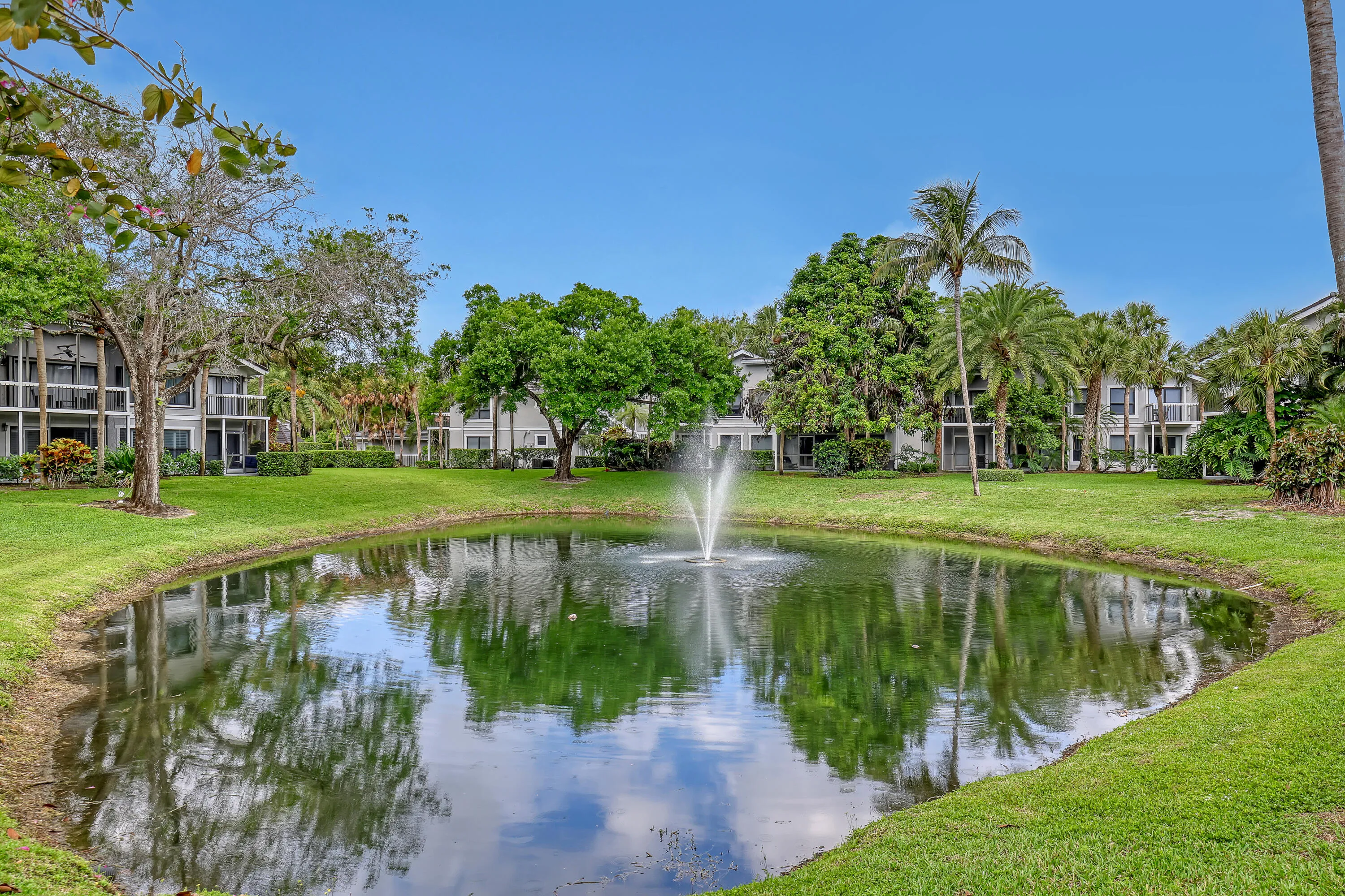 pond