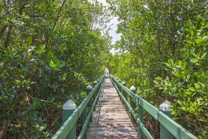 Nature Trail