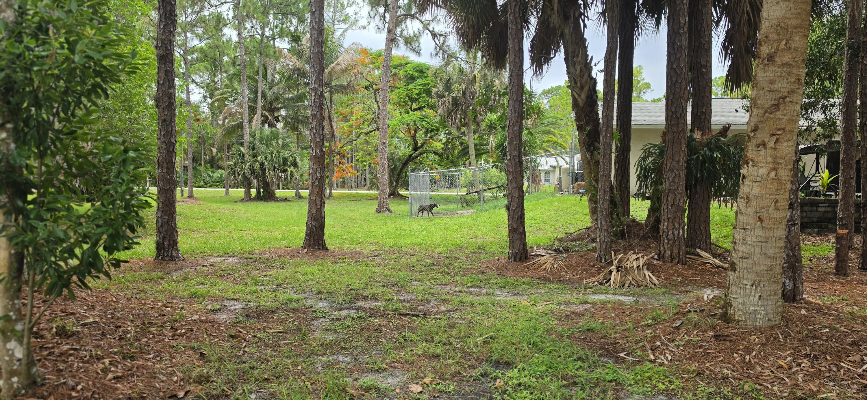 Yard